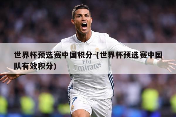 世界杯预选赛中国积分-(世界杯预选赛中国队有效积分)