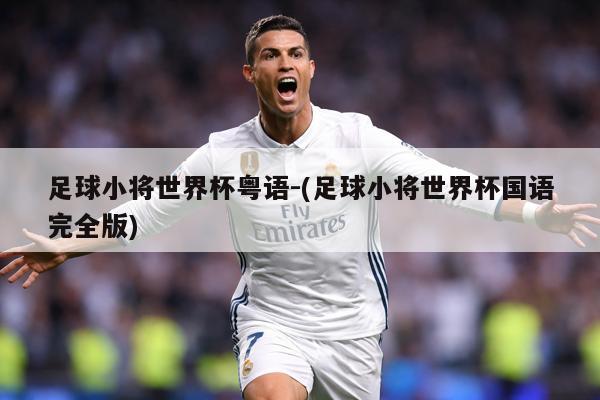 足球小将世界杯粤语-(足球小将世界杯国语完全版)